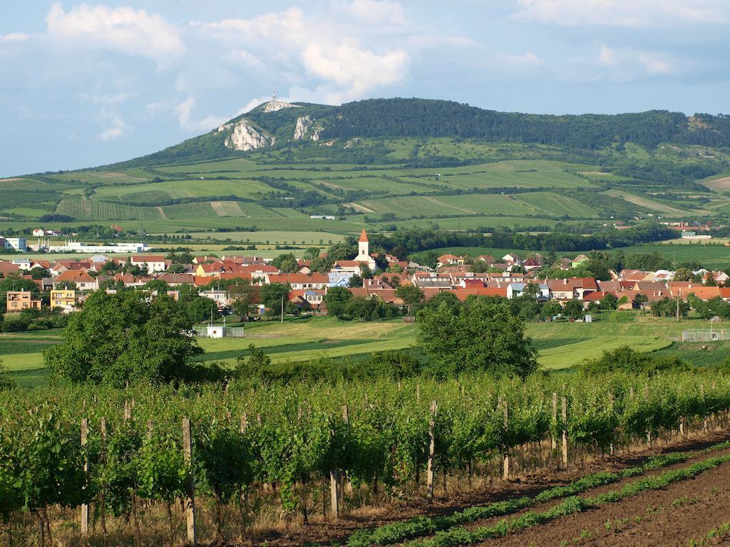 Penzion Kratochvil Dolni Dunajovice Bagian luar foto